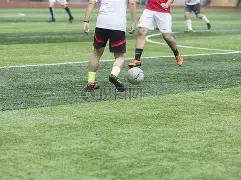 安博体育,资讯,安博体育平台,安博体育平台,安博体育官方网站,安博体育登录入口,安博体育app下载