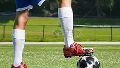 安博体育 产品 114950 xbc